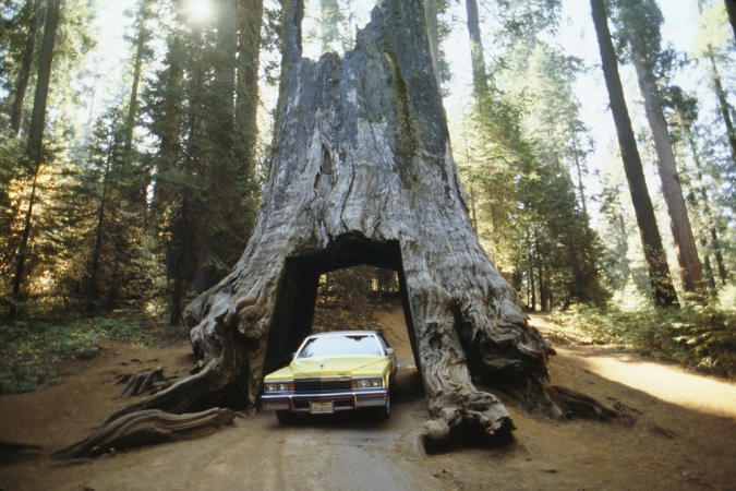 The Family Acid<br /> <em>Sequoia Garage, October 1988</em><br /> Archival pigment ink prints<br /> 20 x 24" &nbsp; &nbsp;Edition of 8