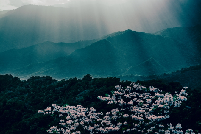 Eric Cahan, Cahan is the Cure, 2021