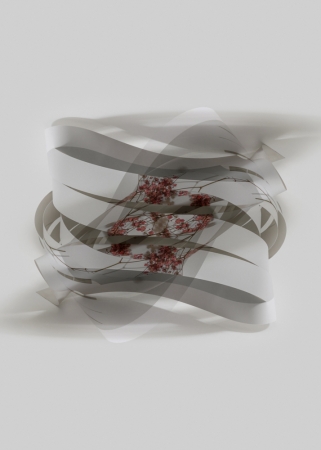 Delphine Burtin, Double Impression, D1-1,2022