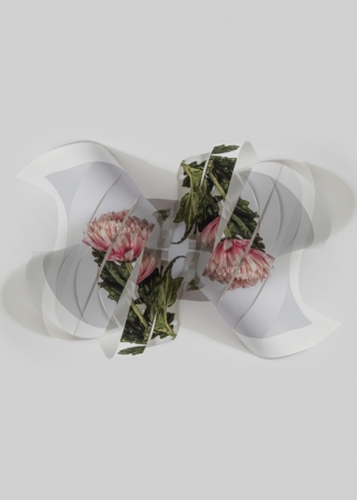 Delphine Burtin, Double Impression, D3-1,2022