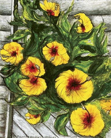 Dennis Powers, Seaview Hibiscus 2024