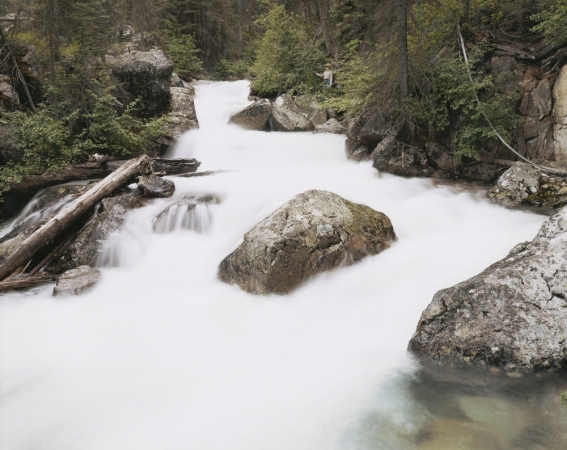 Laura McPhee<br /> <em>Cascade, Redfish Lake Creek, Sawtooth Wilderness, Idaho, </em>2004<br /> Digital chromogenic print<br /> 30 x 40” &nbsp; &nbsp;Edition of 5<br /> 50 x 60” &nbsp; &nbsp;Edition of 5<br /> 72 x 96” &nbsp; &nbsp;Edition of 5