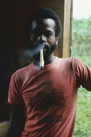 The Family Acid<br /> <em>A Spliff a day, June 1976</em><br /> Archival pigment ink prints<br /> 24 x 20" &nbsp; &nbsp;Edition of 8