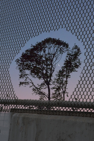 Kang Hee Kim, Twilight Dusk, 2019, 30 x 20 inches, edition of 5