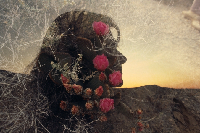 The Family Acid<br /> <em>Mary, Queen of the Cactus, April 1986</em><br /> Archival pigment ink prints<br /> 20 x 24" &nbsp; &nbsp;Edition of 8
