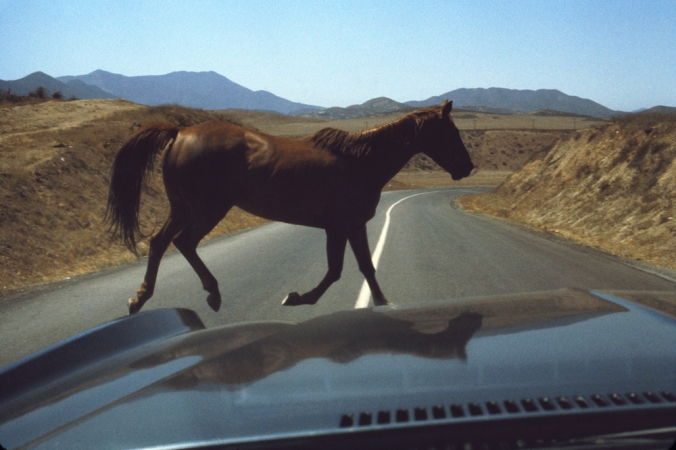 The Family Acid<br /> <em>Wild Horse Encounter, August 1974</em><br /> Archival pigment ink prints<br /> 20 x 24" &nbsp; &nbsp;Edition of 8