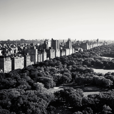 Josef Hoflehner<br /> <em>Morning Light, Central Park, New York City, New York, &nbsp;</em>2011<br /> Archival pigment ink prints<br /> 12 x 12" &nbsp; &nbsp;Edition of 15<br /> 20 x 20" &nbsp; &nbsp;Edition of 10<br /> 40 x 40" &nbsp; &nbsp;Edition of 5<br /> 60 x 60" &nbsp; &nbsp;Edition of 5<br /> <br />