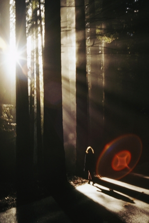 The Family Acid<br /> <em>The Redwood Alien, December 1973</em><br /> Archival pigment ink prints<br /> 24 x 20" &nbsp; &nbsp;Edition of 8