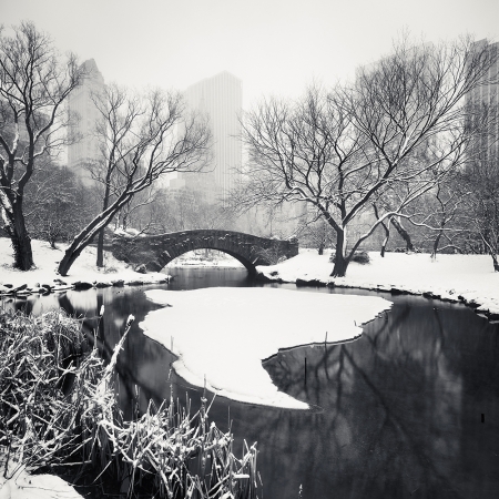 Josef Hoflehner<br /> <em>Snow Capped Central Park, Study 1, New York City, New York, &nbsp;</em>2011<br /> Archival pigment ink prints<br /> 12 x 12" &nbsp; &nbsp;Edition of 15<br /> 20 x 20" &nbsp; &nbsp;Edition of 10<br /> 40 x 40" &nbsp; &nbsp;Edition of 5<br /> 60 x 60" &nbsp; &nbsp;Edition of 5<br /> <br />