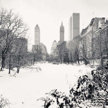 Josef Hoflehner<br /> <em>Snow Capped Central Park, Study 10, New York City, New York, &nbsp;</em>2011<br /> Archival pigment ink prints<br /> 12 x 12" &nbsp; &nbsp;Edition of 15<br /> 20 x 20" &nbsp; &nbsp;Edition of 10<br /> 40 x 40" &nbsp; &nbsp;Edition of 5<br /> 60 x 60" &nbsp; &nbsp;Edition of 5<br /> <br />