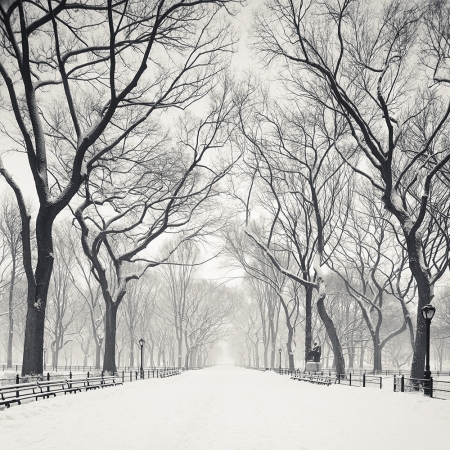 Josef Hoflehner<br /> <em>Snow Capped Central Park, Study 2, New York City, New York, &nbsp;</em>2011<br /> Archival pigment ink prints<br /> 12 x 12" &nbsp; &nbsp;Edition of 15<br /> 20 x 20" &nbsp; &nbsp;Edition of 10<br /> 40 x 40" &nbsp; &nbsp;Edition of 5<br /> 60 x 60" &nbsp; &nbsp;Edition of 5<br /> <br />