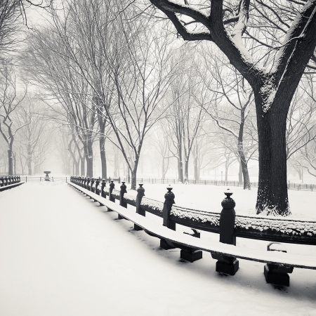 Josef Hoflehner<br /> <em>Snow Capped Central Park, Study 3, New York City, New York, &nbsp;</em>2011<br /> Archival pigment ink prints<br /> 12 x 12" &nbsp; &nbsp;Edition of 15<br /> 20 x 20" &nbsp; &nbsp;Edition of 10<br /> 40 x 40" &nbsp; &nbsp;Edition of 5<br /> 60 x 60" &nbsp; &nbsp;Edition of 5<br /> <br />
