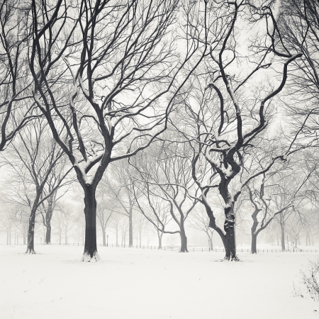 Josef Hoflehner<br /> <em>Snow Capped Central Park, Study 5, New York City, New York, &nbsp;</em>2011<br /> Archival pigment ink prints<br /> 12 x 12" &nbsp; &nbsp;Edition of 15<br /> 20 x 20" &nbsp; &nbsp;Edition of 10<br /> 40 x 40" &nbsp; &nbsp;Edition of 5<br /> 60 x 60" &nbsp; &nbsp;Edition of 5<br /> <br />