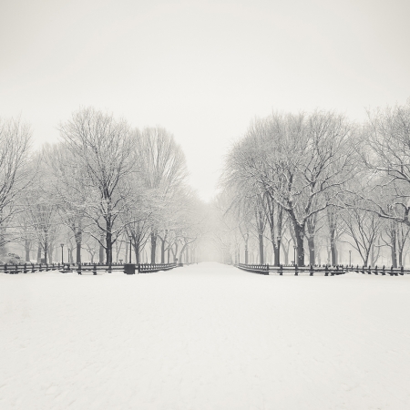 Josef Hoflehner<br /> <em>Snow Capped Central Park, Study 7, New York City, New York, &nbsp;</em>2011<br /> Archival pigment ink prints<br /> 12 x 12" &nbsp; &nbsp;Edition of 15<br /> 20 x 20" &nbsp; &nbsp;Edition of 10<br /> 40 x 40" &nbsp; &nbsp;Edition of 5<br /> 60 x 60" &nbsp; &nbsp;Edition of 5<br /> <br />