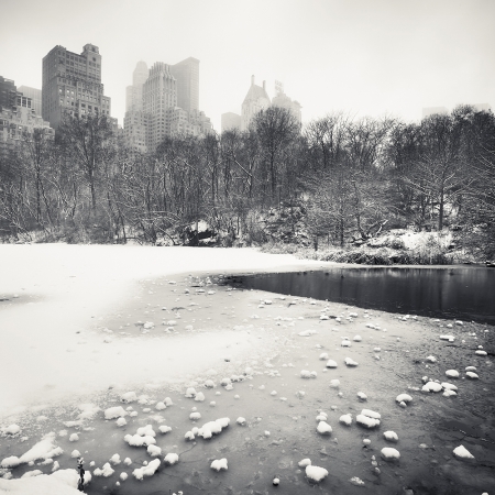 Josef Hoflehner<br /> <em>Snow Capped Central Park, Study 8, New York City, New York, &nbsp;</em>2011<br /> Archival pigment ink prints<br /> 12 x 12" &nbsp; &nbsp;Edition of 15<br /> 20 x 20" &nbsp; &nbsp;Edition of 10<br /> 40 x 40" &nbsp; &nbsp;Edition of 5<br /> 60 x 60" &nbsp; &nbsp;Edition of 5<br /> <br />