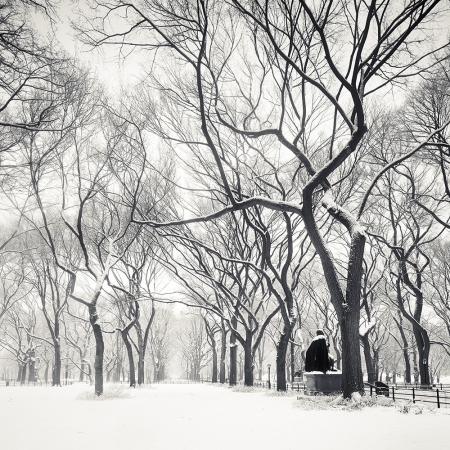 Josef Hoflehner<br /> <em>Snow Capped Central Park, Study 9, New York City, New York, &nbsp;</em>2011<br /> Archival pigment ink prints<br /> 12 x 12" &nbsp; &nbsp;Edition of 15<br /> 20 x 20" &nbsp; &nbsp;Edition of 10<br /> 40 x 40" &nbsp; &nbsp;Edition of 5<br /> 60 x 60" &nbsp; &nbsp;Edition of 5<br /> <br />