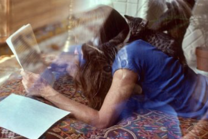 The Family Acid, Double Exposure of Mom, Silverlake, CA September, 1978