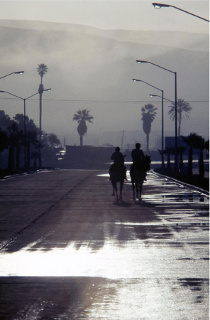 The Family Acid, Ensenada, Mexico, December, 1973