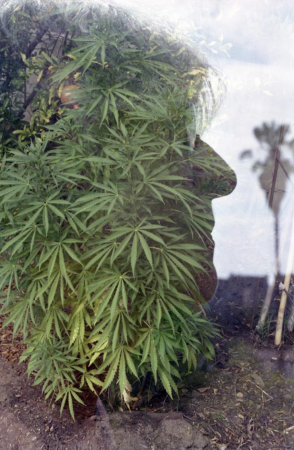 The Family Acid, Mom double exposure, Echo Park, CA, July, 2015