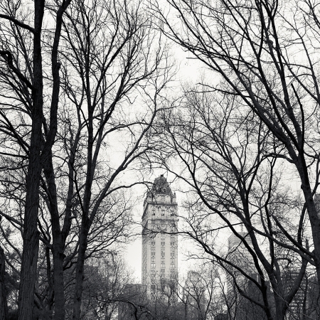 Josef Hoflehner<br /> <em>The Pierre / Central Park, New York City, New York, &nbsp;</em>2011<br /> Archival pigment ink prints<br /> 12 x 12" &nbsp; &nbsp;Edition of 15<br /> 20 x 20" &nbsp; &nbsp;Edition of 10<br /> 40 x 40" &nbsp; &nbsp;Edition of 5<br /> 60 x 60" &nbsp; &nbsp;Edition of 5<br /> <br />