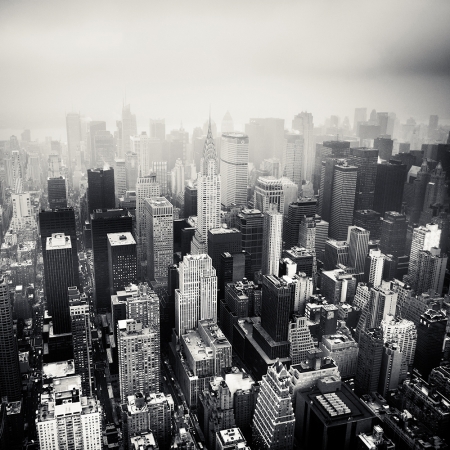 Josef Hoflehner<br /> <em>Urban Jungle, New York City, New York, &nbsp;</em>2009<br /> Archival pigment ink prints<br /> 12 x 12" &nbsp; &nbsp;Edition of 15<br /> 20 x 20" &nbsp; &nbsp;Edition of 10<br /> 40 x 40" &nbsp; &nbsp;Edition of 5<br /> 60 x 60" &nbsp; &nbsp;Edition of 5<br /> <br />