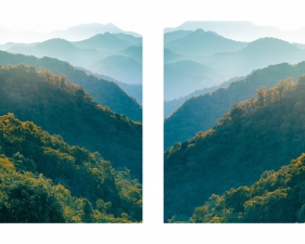 Eric Cahan, Mama Patch, diptych, 2021