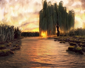 Matthew Albanese<br /> <em>A New Life #1</em><br /> Digital C print<br /> 14 x 16" &nbsp; &nbsp;edition of 15<br /> 26 x 30" &nbsp; &nbsp;Edition of 10<br /> 53 x 60" &nbsp; &nbsp;Edition of 5&nbsp;