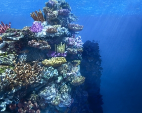 Matthew Albanese<br /> <em>How to Breathe Underwater</em>, 2012<br /> Digital C print<br /> 30 x 40" &nbsp; &nbsp;Edition of 10<br /> 45 x 60" &nbsp; &nbsp;Edition of 5