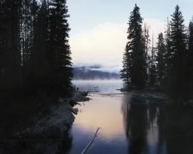 Laura McPhee<br /> <em>Alturas Lake Outlet, Blaine County, Idaho, </em>2004<br /> Digital chromogenic print<br /> 30 x 40” &nbsp; &nbsp;Edition of 5<br /> 50 x 60” &nbsp; &nbsp;Edition of 5<br /> 72 x 96” &nbsp; &nbsp;Edition of 5