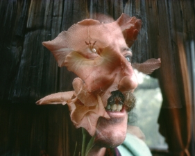The Family Acid<br /> <em>Big Sur Flowerman, June 1978</em><br /> Archival pigment ink prints<br /> 20 x 24" &nbsp; &nbsp;Edition of 8