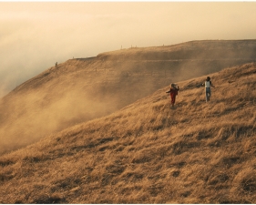 The Family Acid<br /> <em>Bolinas Ridge, Marin County, August 1976</em><br /> Archival pigment ink prints<br /> 20 x 24" &nbsp; &nbsp;Edition of 8