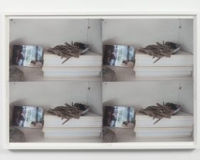 Jude Broughan<br /> <i>Whanau</i>, 2016<br /> Archival pigment prints and thread in frame<br /> 15 3/4 x 23 3/4" (unique)&nbsp;