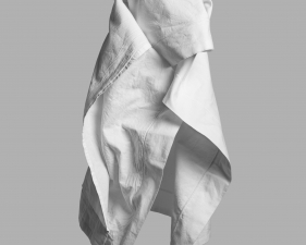 Delphine Burtin, Untitled (from the series Exuvie), 2014