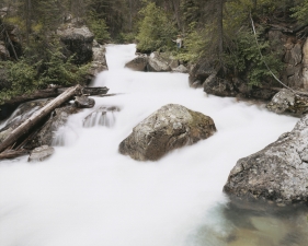 Laura McPhee<br /> <em>Cascade, Redfish Lake Creek, Sawtooth Wilderness, Idaho, </em>2004<br /> Digital chromogenic print<br /> 30 x 40” &nbsp; &nbsp;Edition of 5<br /> 50 x 60” &nbsp; &nbsp;Edition of 5<br /> 72 x 96” &nbsp; &nbsp;Edition of 5