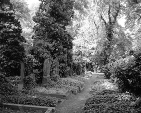 Doug Hall<br /> <em>The Christian Cemetery, Žižkov, Prague</em>, 2016<br /> 43 x 49 7/8 inch archival pigment print<br /> Edition of 6&nbsp;