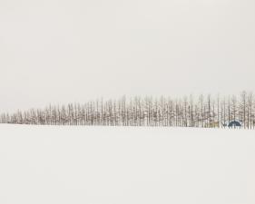 Josef Hoflehner<br /> <em>Blue Barn, Japan, </em>2012<br /> Archival pigment ink prints<br /> 32 x 41" &nbsp; &nbsp;Edition of 7<br /> 44 x 57" &nbsp; &nbsp;Edition of 9<br /> 62 x 82" &nbsp; &nbsp;Edition of 5<br /> <br />