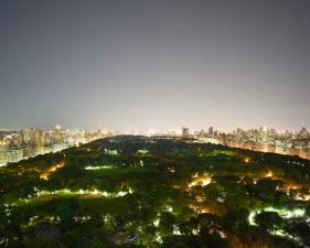 Josef Hoflehner<br /> <em>Central Park II, New York, </em>2011<br /> Archival pigment ink prints<br /> 32 x 41" &nbsp; &nbsp;Edition of 7<br /> 44 x 57" &nbsp; &nbsp;Edition of 9<br /> 62 x 82" &nbsp; &nbsp;Edition of 5