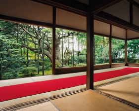 Jacqueline Hassink<br /> <em>Hōsen-in 1, summer,&nbsp;Northeast Kyoto,&nbsp;29 June 2004 (16:00–17:30)</em><br /> Chromogenic prints<br />41 x 51", 50 x 63", and&nbsp;63 x 79"&nbsp; &nbsp;Shared edition of 7<br />
