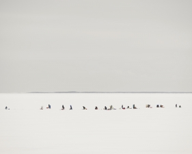 Josef Hoflehner<br /> <em>Ice Fishing, Japan,&nbsp;</em>2012<br /> Archival pigment ink prints<br /> 32 x 41" &nbsp; &nbsp;Edition of 7<br /> 44 x 57" &nbsp; &nbsp;Edition of 9<br /> 62 x 82" &nbsp; &nbsp;Edition of 5<br /> <br />