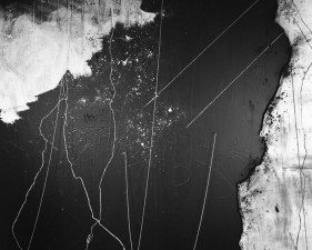 Lauren Semivan<br /> <em>Flour, Chalk, Feathers</em>, 2017<br /> Archival ink print<br /> 30 x 24" &nbsp; Edition of 10<br /> 50 x 40" &nbsp; Edition of 5<br />