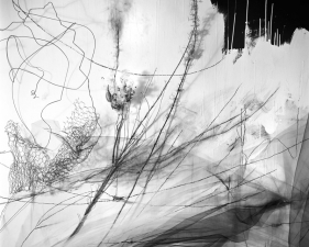 Lauren Semivan<br /> <em>Pendulum</em>, 2015<br /> Archival ink print<br /> 24 x 30" &nbsp; Edition of 10<br /> 40 x 50" &nbsp; Edition of 5