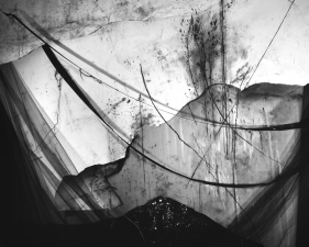 Lauren Semivan<br /> <em>Pinned</em>, 2017<br /> Archival ink print<br /> 24 x 30" &nbsp; Edition of 10<br /> 40 x 50" &nbsp; Edition of 5
