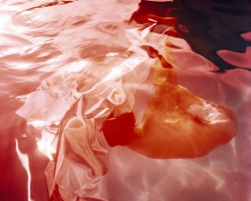 Karine Laval<br /> <em>Untitled #2 (Flux)</em>, 2012<br /> Chromogenic print<br /> 30 x 30" &nbsp; &nbsp;Edition of 5<br /> 48 x 48" &nbsp; &nbsp;Edition of 5