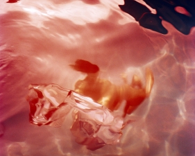 Karine Laval<br /> <em>Untitled #3 (Flux)</em>, 2012<br /> Chromogenic print<br /> 30 x 30" &nbsp; &nbsp;Edition of 5<br /> 48 x 48" &nbsp; &nbsp;Edition of 5