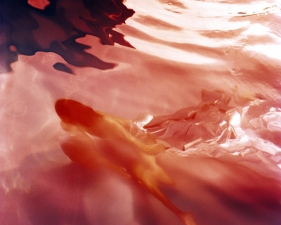 Karine Laval<br /> <em>Untitled #4 (Flux)</em>, 2012<br /> Chromogenic print<br /> 30 x 30" &nbsp; &nbsp;Edition of 5<br /> 48 x 48" &nbsp; &nbsp;Edition of 5