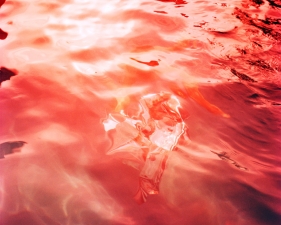 Karine Laval<br /> <em>Untitled #7 (Flux)</em>, 2012<br /> Chromogenic print<br /> 30 x 30" &nbsp; &nbsp;Edition of 5<br /> 48 x 48" &nbsp; &nbsp;Edition of 5