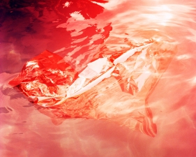 Karine Laval<br /> <em>Untitled #8 (Flux)</em>, 2012<br /> Chromogenic print<br /> 30 x 30" &nbsp; &nbsp;Edition of 5<br /> 48 x 48" &nbsp; &nbsp;Edition of 5