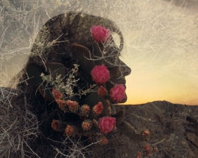 The Family Acid<br /> <em>Mary, Queen of the Cactus, April 1986</em><br /> Archival pigment ink prints<br /> 20 x 24" &nbsp; &nbsp;Edition of 8