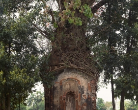 Laura McPhee<br /> <em>Banyan Tree and 16th Century Terracotta Temple, Attpur, West Bengal, India, 1998</em><br /> Archival Pigment Ink Prints<br /> 30 x 40" &nbsp; &nbsp;Edition of 5<br /> 40 x 50" &nbsp; &nbsp;Edition of 5<br /> 50 x 60" &nbsp; &nbsp;Edition of 5