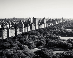 Josef Hoflehner<br /> <em>Morning Light, Central Park, New York City, New York, &nbsp;</em>2011<br /> Archival pigment ink prints<br /> 12 x 12" &nbsp; &nbsp;Edition of 15<br /> 20 x 20" &nbsp; &nbsp;Edition of 10<br /> 40 x 40" &nbsp; &nbsp;Edition of 5<br /> 60 x 60" &nbsp; &nbsp;Edition of 5<br /> <br />